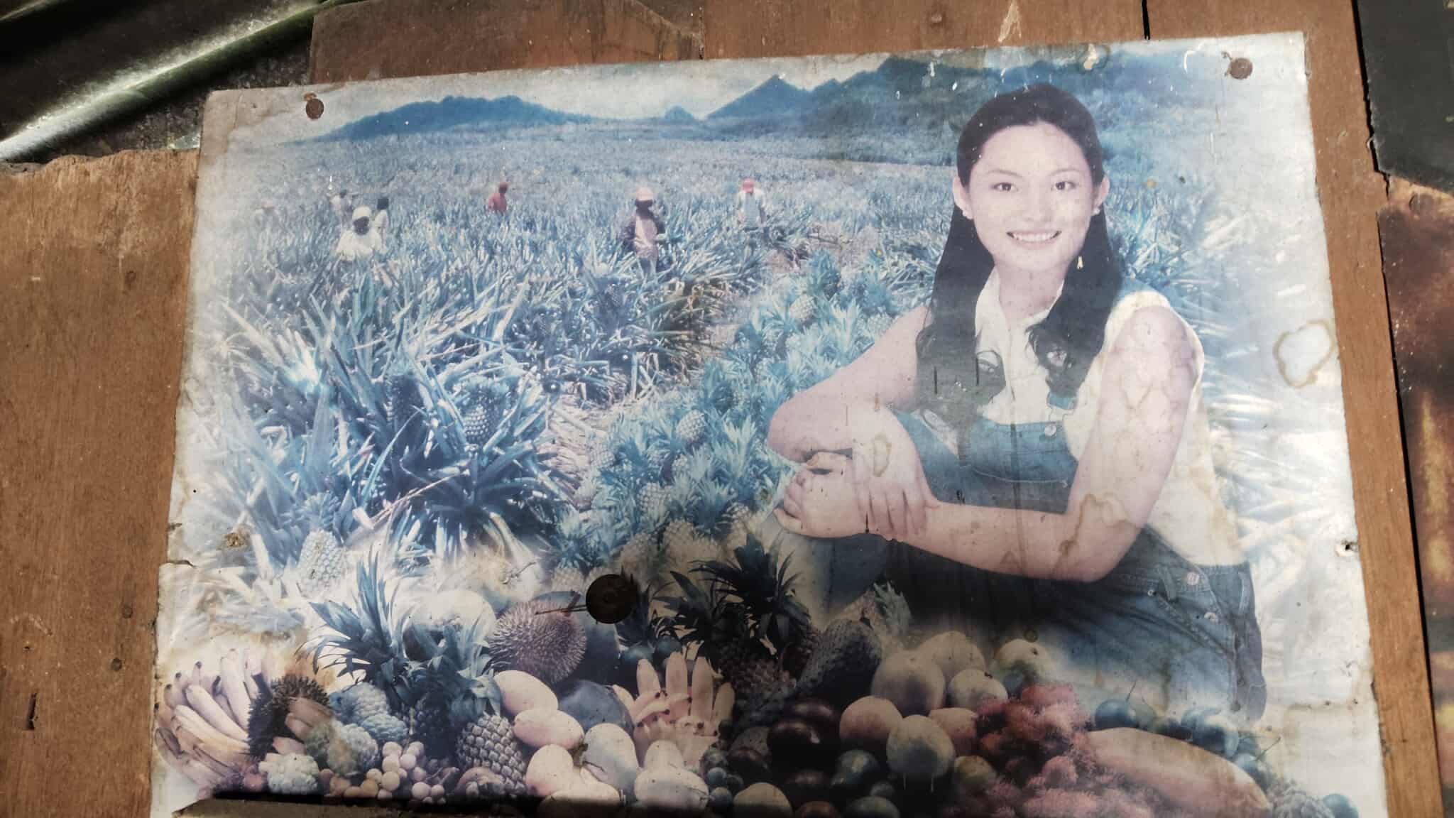 AI & Future Innovations